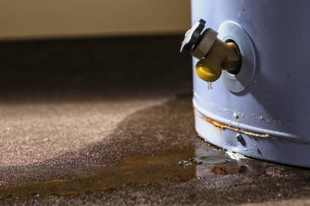Best Flood restoration services  in Zeigler, IL