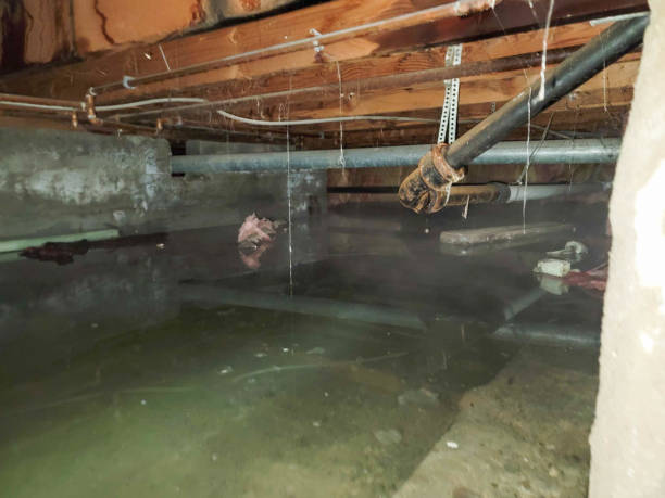 Best Fire Damage Restoration  in Zeigler, IL