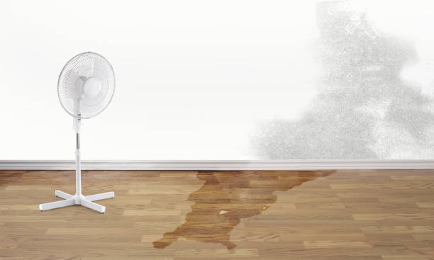 Best Emergency water damage restoration  in Zeigler, IL