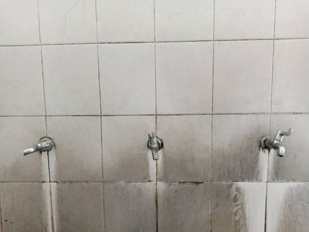 Best Local water damage restoration  in Zeigler, IL