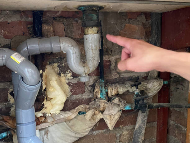 Best Basement water damage restoration  in Zeigler, IL